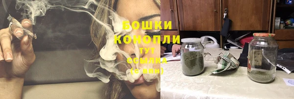 бошки Козловка